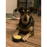 4 Тренувальні звукові кнопки для тварин Purlov 24615, фото 5