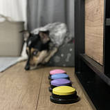 4 Тренувальні звукові кнопки для тварин Purlov 24615, фото 6