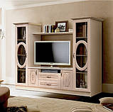 Набір меблів для вітальні з надбудовою Василиса (Майстер Форм), фото 2