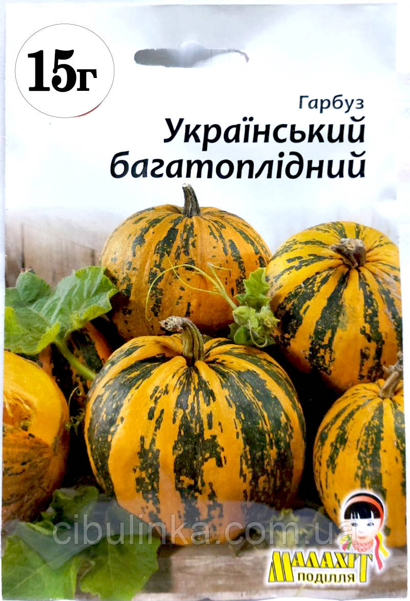 Гарбуз Український багатоплідний 15 г, фото 1