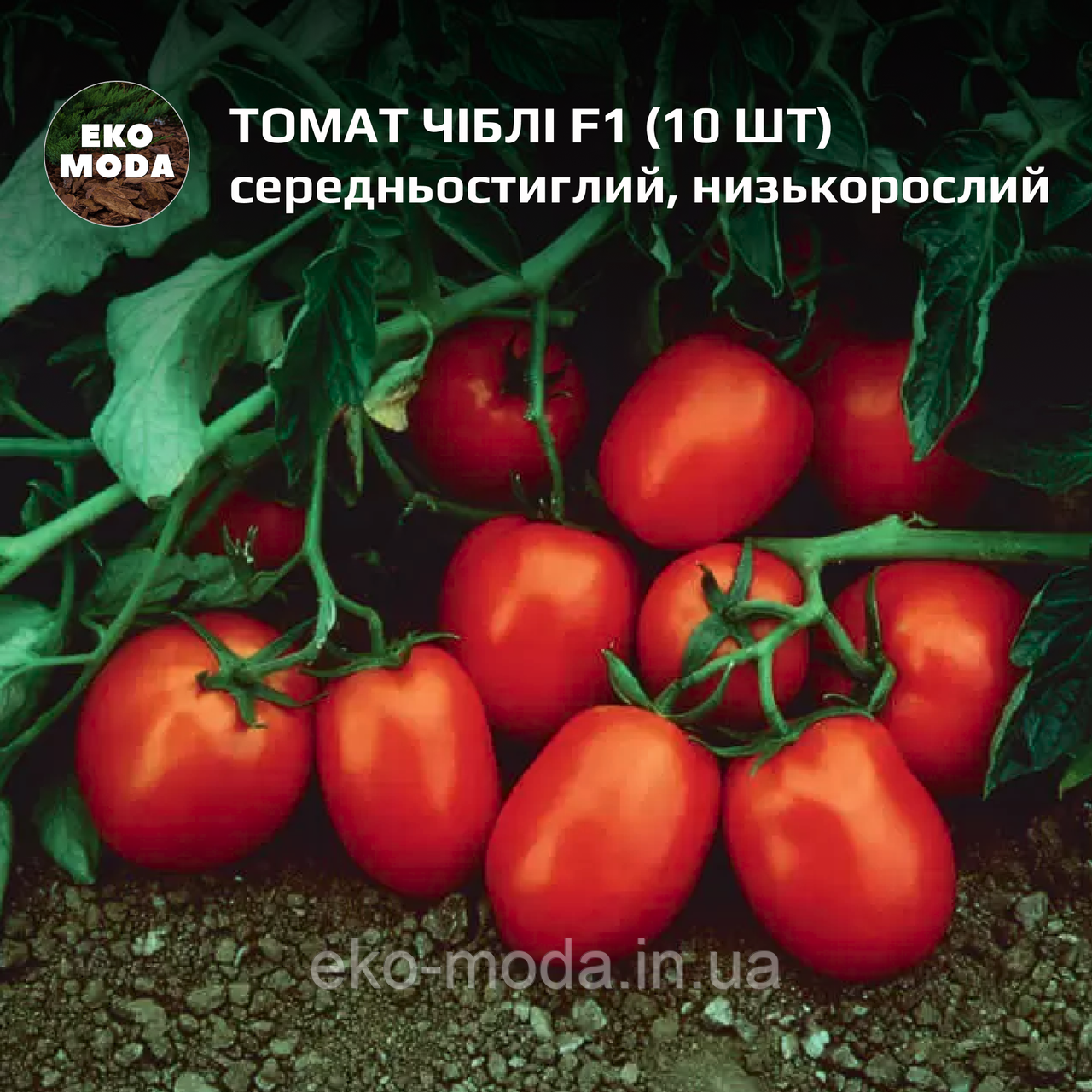 Томат Чіблі F1-  середньостиглий, детермінантний - (10 шт, zip-пакет)