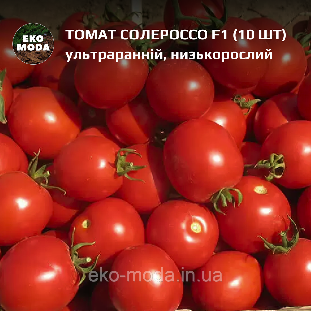 Томат Солероссо F1 -  ультраранній, детермінантний - (10 шт, zip-пакет)
