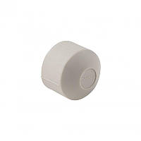 Заглушка PPR Thermo Alliance 25