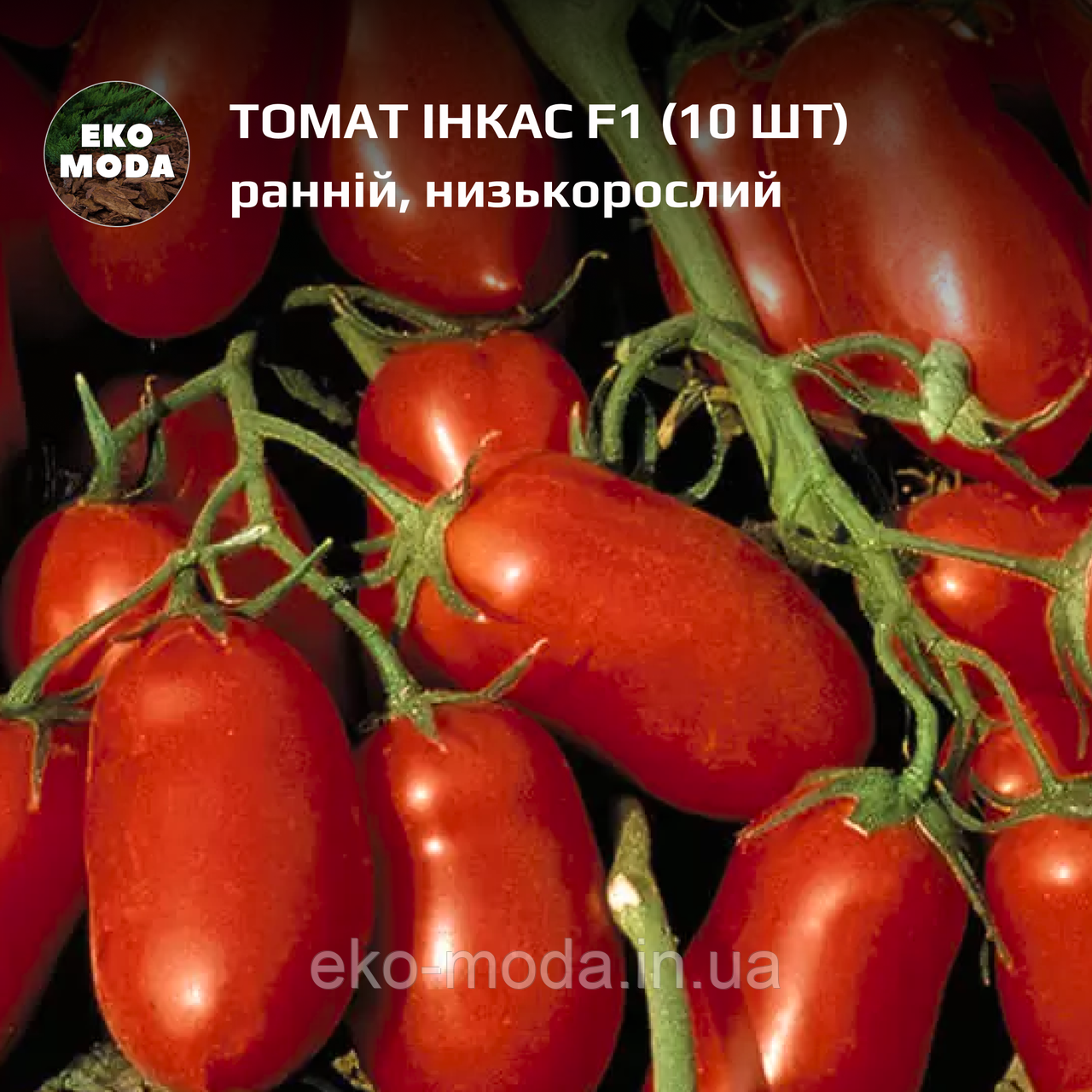 Томат Інкас F1-  ранній, детермінантний - (10 шт, zip-пакет)