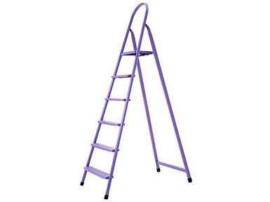 Драбина металева побутова для дому 6 сход. (5 захід.столик) ТМ ТЕХНОЛОГ FG