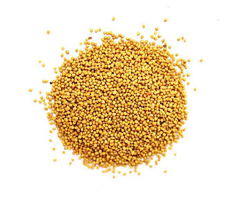 Гірчиця польова насіння, жовта 25кг ТМ УКРАЇНА FG