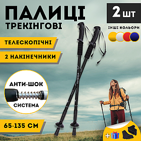 Палиці для скандинавської ходьби, Трекінгові палиці для гір походу, Туристичні палиці Hechpro чорні 3924-1