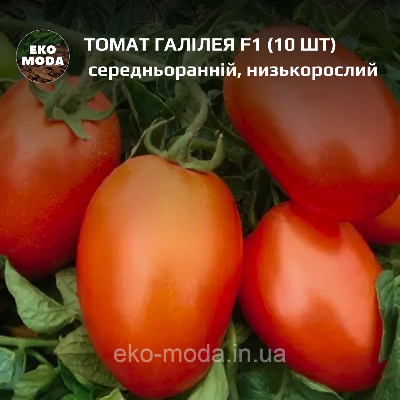 Томат Галілея F1 - середньоранній, детермінантний - (10 шт, zip-пакет)