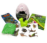 Набір для творчості Яйце динозавра, розкопки 4-в-1 Dino Paleontology EGG (DP-03-01), фото 2