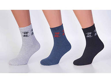 Шкарпетки жіночі махра мікс (12 пар/уп) р.23-25 арт.CPG 2 ТМ Золотой клевер FG