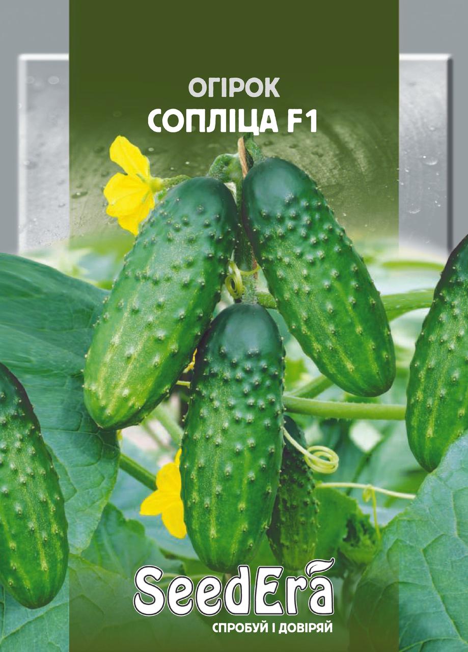 Насіння Огірка Соплець Seedera, 0,5 г