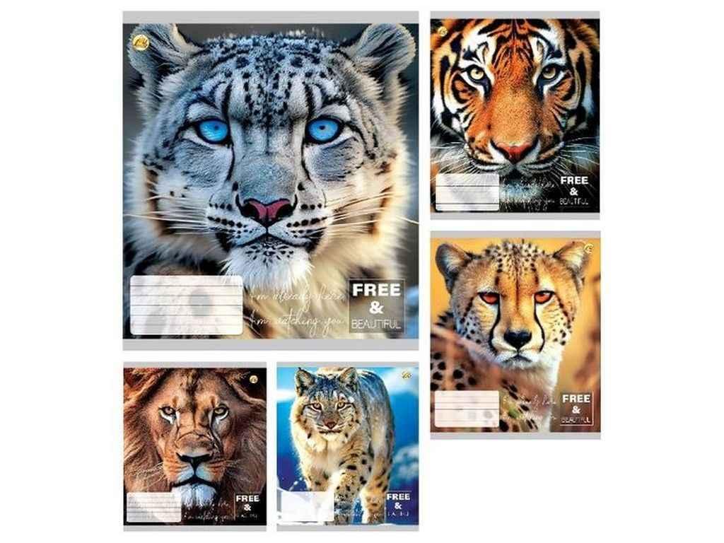 Зошит в клітинку 24арк. 20шт/уп Тверда ТЕ41308 Котики ТМ ТЕТРАДА FG