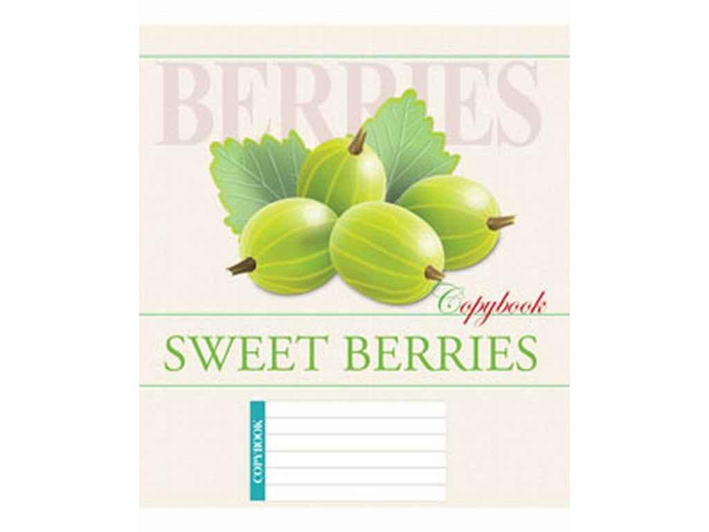 Зошит в клітинку 24арк. 16шт/уп арт.3514к Ягоди ТМ МРІЇ ЗБУВАЮТЬСЯ FG