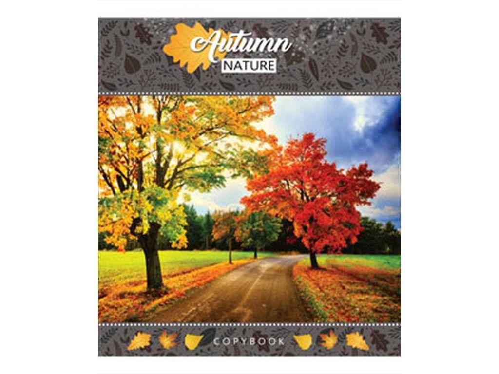 Зошит в клітинку 60арк. 12шт/уп арт.3474к Осінь ТМ МРІЇ ЗБУВАЮТЬСЯ FG
