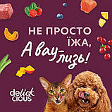 Корм вологий Delickcious для дорослих собак Смужки з лососем та морквою в крем-супі 85 г, фото 4
