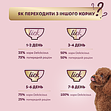 Корм вологий Delickcious для дорослих собак Смужки з лососем та морквою в крем-супі 85 г, фото 5
