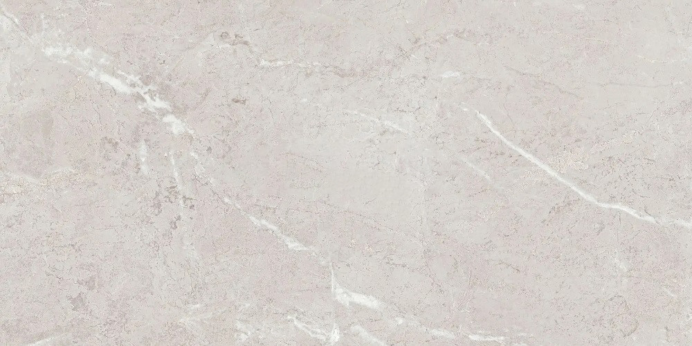 Плитка Teo Ceramics Arber Silver F P R Mat 600*1200