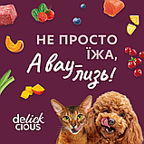 Корм додатковий Delickcious для дорослих котів Напій з куркою 140 г, фото 3