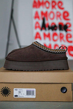 Зимові Жіночі Черевики UGG Tasman Platform Chocolate Brown / УГГ Тасман Платформ Чоколат Коричневі, фото 1