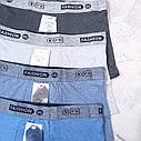 Чоловічі труси боксери набір 4шт розміри від XL до 4XL верикон VERICOH чоловіча білизна, фото 2