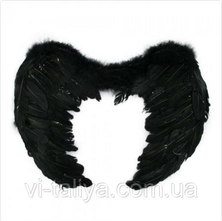 Крила  великі  чорні з пір'я 60х40см, фото 1