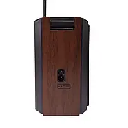 Радіоприймач на акумуляторі та батарейках з ремінцем Golon RX-9933UAR USB SD Card Коричневий, фото 8