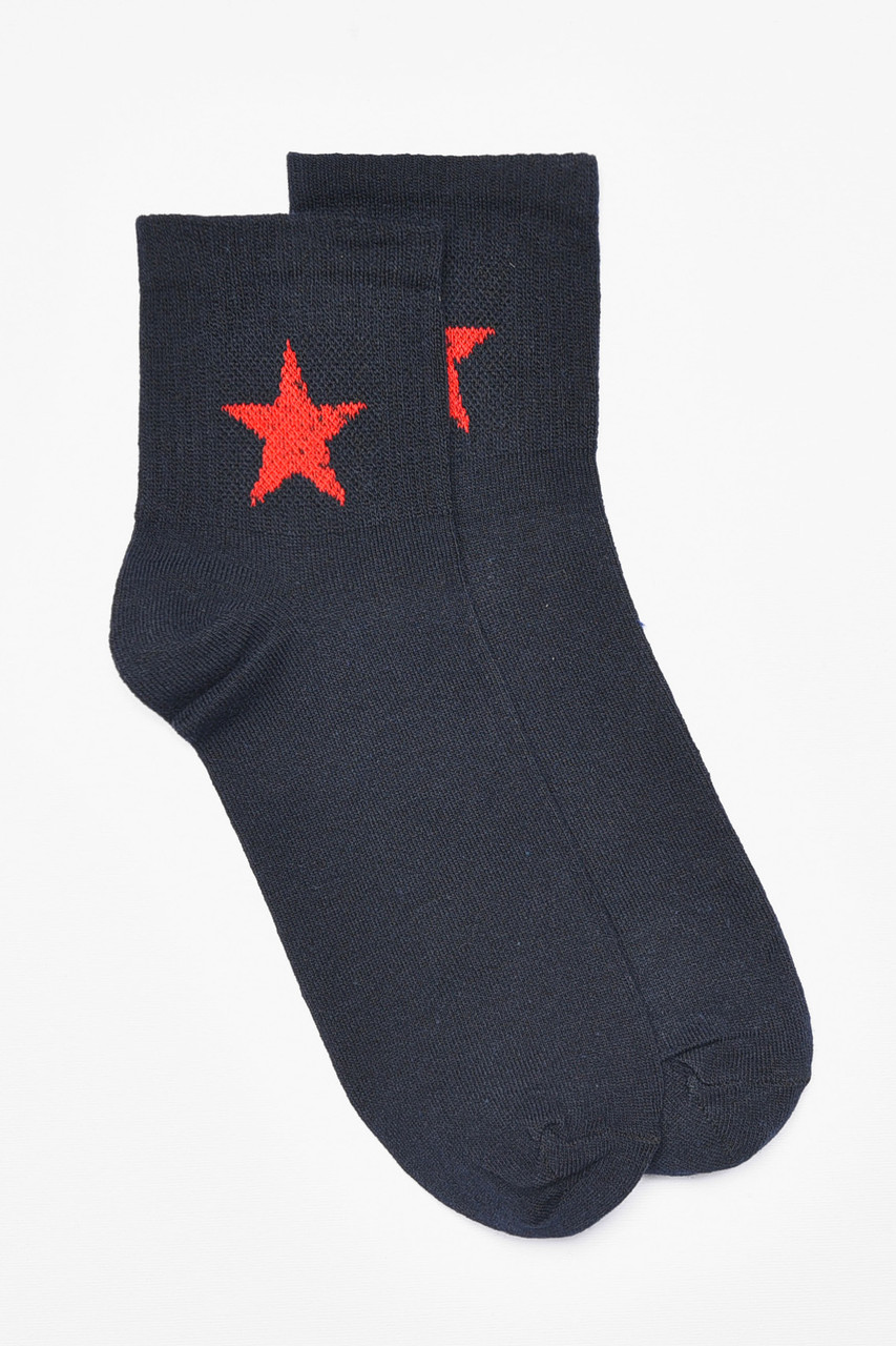 Шкарпетки чоловічі демісезонні темно-синього кольору р.41-45 192221S, фото 1