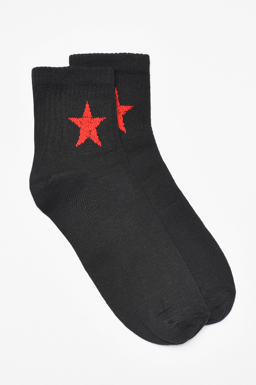 Шкарпетки чоловічі демісезонні чорного кольору р.41-45 192222S, фото 1