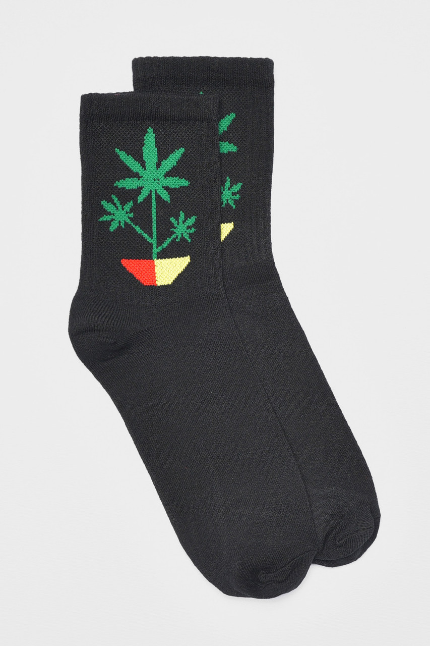 Шкарпетки чоловічі демісезонні чорного кольору р.41-45 192324S, фото 1