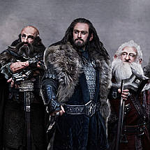 Плакат "Гноми Середзем'я, Володар перснів, Gnomes, Lord Of The Rings", 60×120см, фото 3