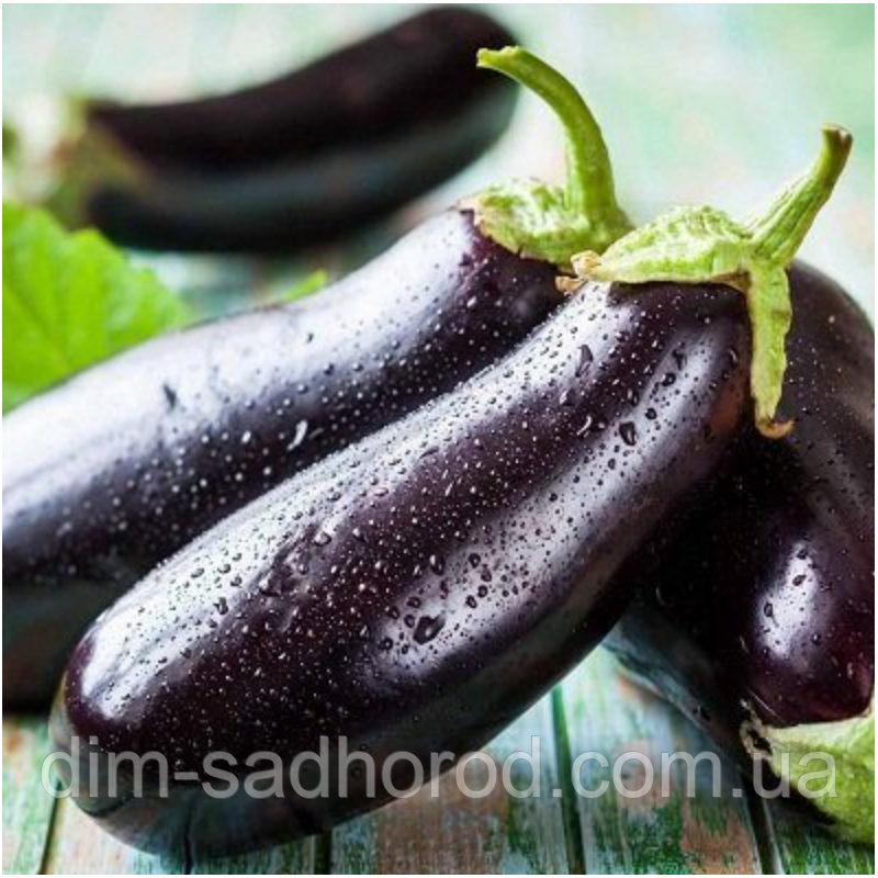 Насіння Баклажан "Алмаз", фото 1