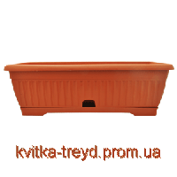 Вазон «Терра» кактусовка