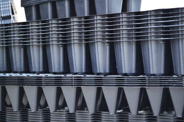 касети для розсади, касети для розсади помідорів, купити касети для розсади, купить касети для розсади, касети для розсади купити, касети для розсади перцю, куплю касети для розсади