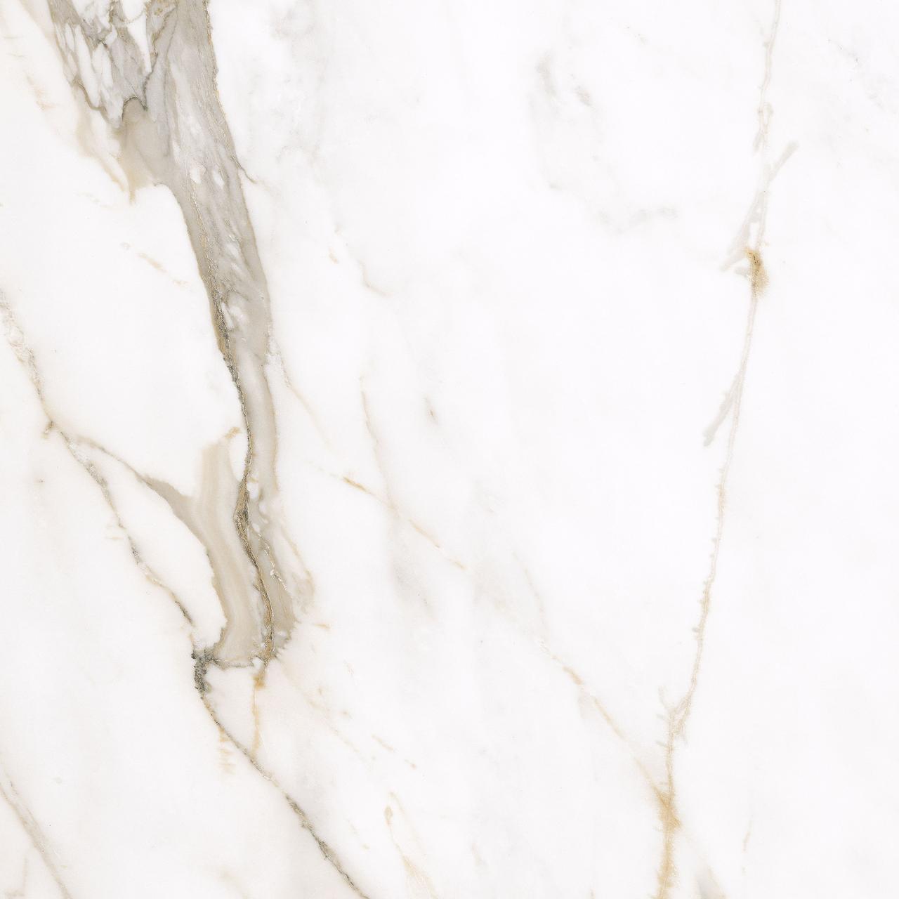 Calacatta Gold F P 600x600x8 R Full Lappato 2