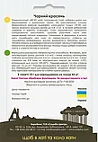 Кабачок Чорний красень, 10 г, Садиба, фото 2