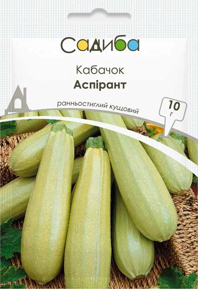 Кабачок Аспірант, 10 г., Садиба