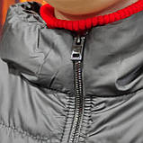 Жіноча тепла жилетка чорна батал Україна, фото 7