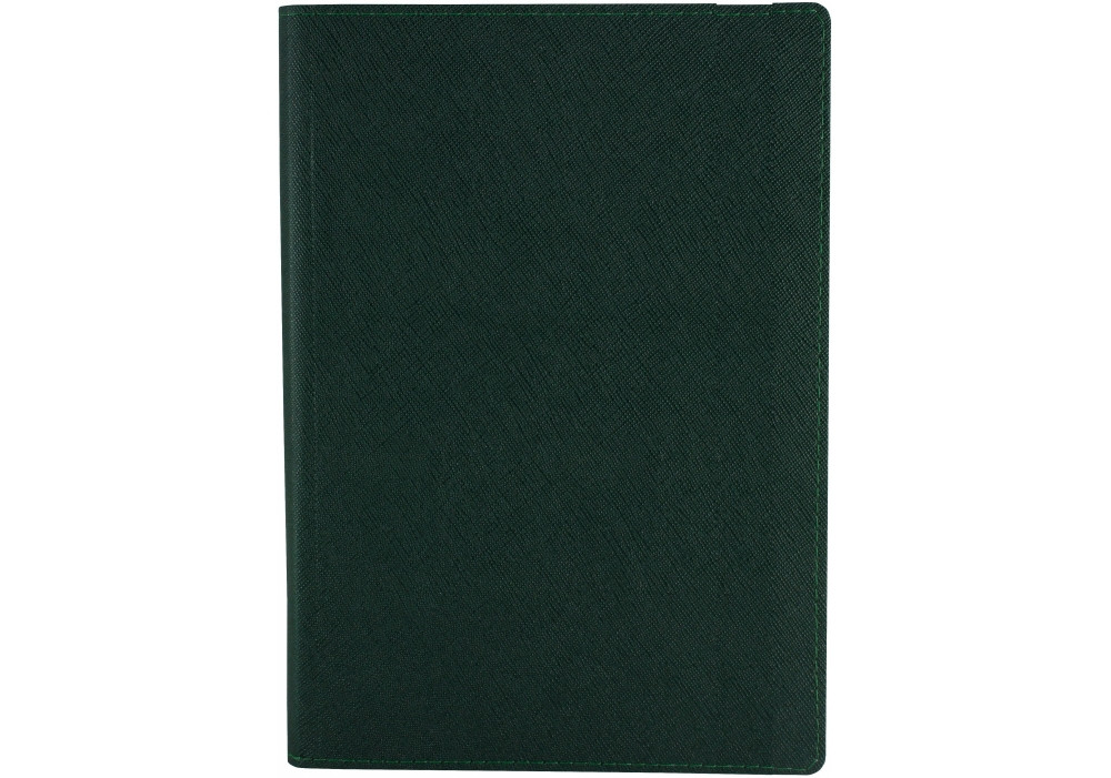 Щоденник недатований А5 ECONOMIX CROSS, клітинка зелений, Е22006-04