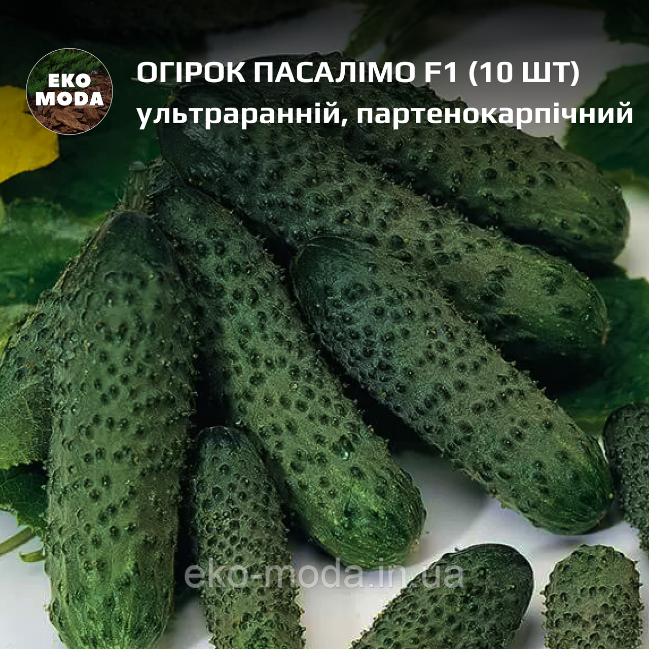 Огірок Пасалімо F1 -  ультраранній, партенокарпічний - (10 шт, zip-пакет)