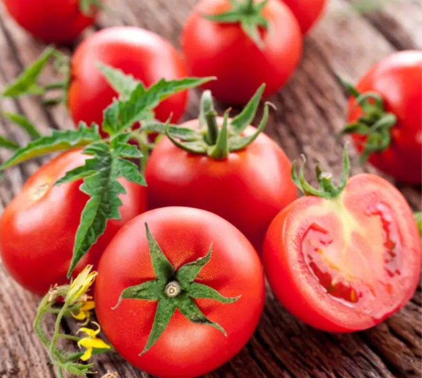 Помідор Санька 0,2 г Seedera (детермінантний), фото 1