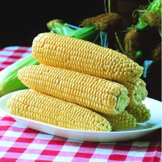 Кукурудза Спіріт F1 20 шт Syngenta