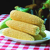 Кукурудза Спіріт F1 20 шт Syngenta