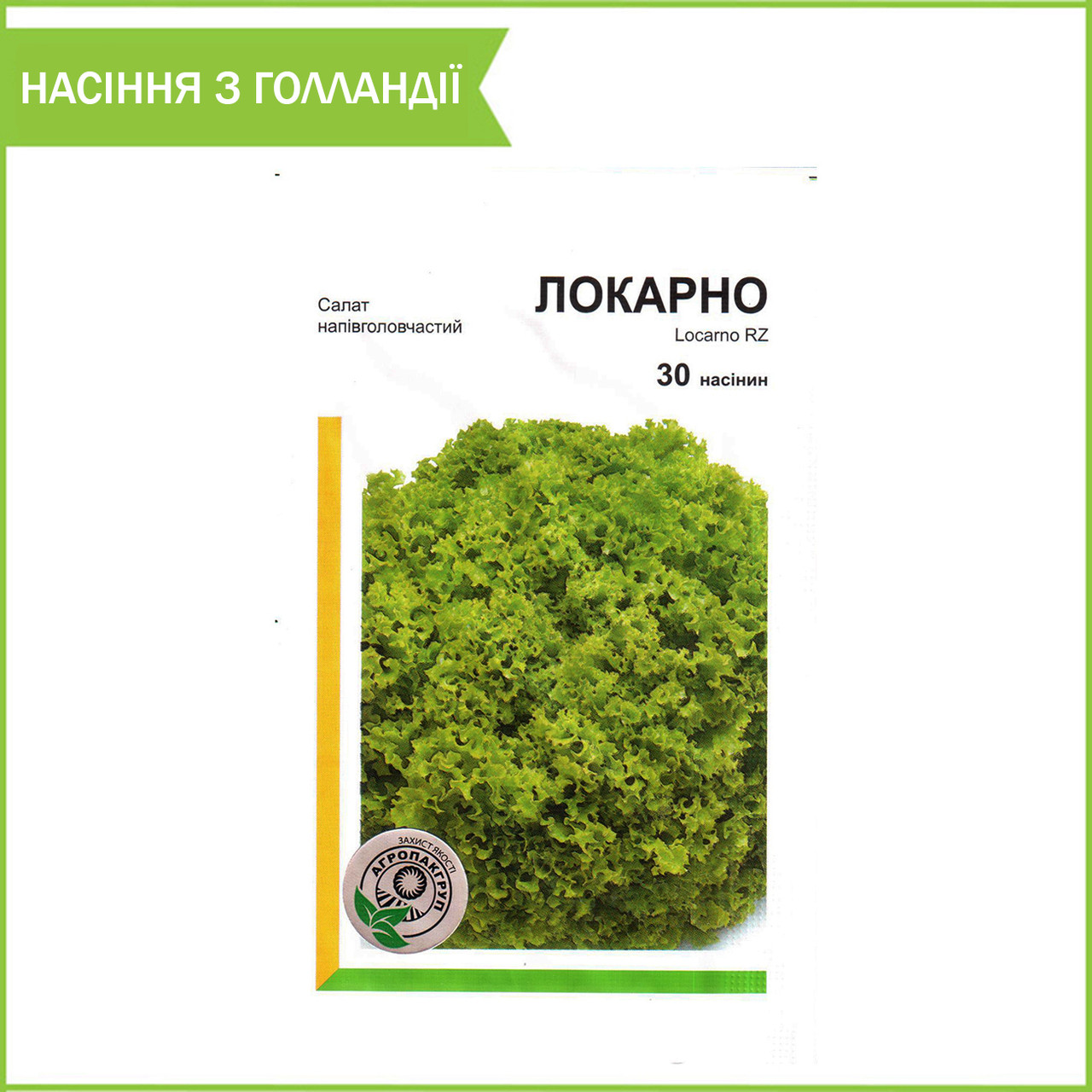 Салат напівголовчастий "Локарно" (30 насінин) від Rijk Zwaan, Голландія, фото 1