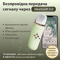 Колонка портативна з мікрофоном C-20 BT/TF/USB/FM 5 Вт Зелений, фото 5