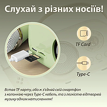 Колонка портативна з мікрофоном C-20 BT/TF/USB/FM 5 Вт Зелений, фото 6