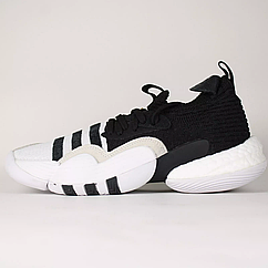 Оригінальні Кросівки баскетбольні Adidas Trae Young 2 Big Kids Black / White H0648