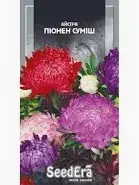 Насіння Айстра Піонен Суміш 0,25 г Seedera