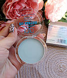 Воскова матуюча пудра ICVC Waterproof Oil — Control MakeUp Powder, 8g, фото 5