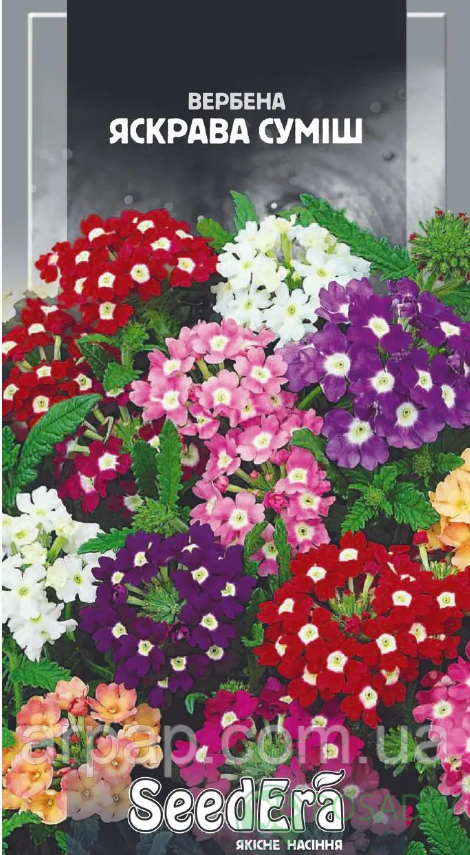 Насіння Вербена гібридна Яскрава суміш 0.2 г, Seedera, фото 1