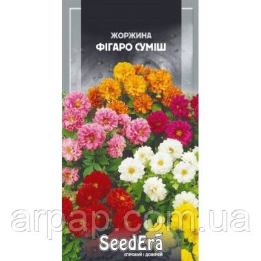 Насіння жоржина Фігаро суміш (0,5г), фото 1